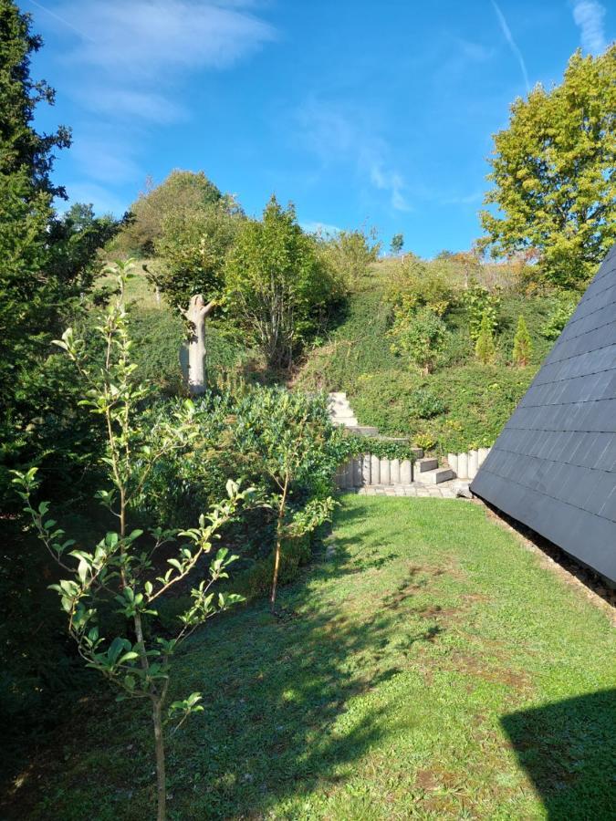 Haus Am See Willingen Willingen  Exteriér fotografie