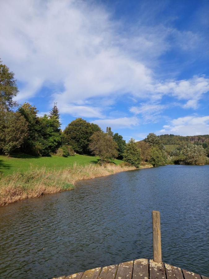 Haus Am See Willingen Willingen  Exteriér fotografie
